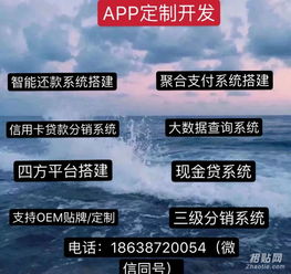 刷臉支付APP系統與票務代理服務的融合開發(fā)